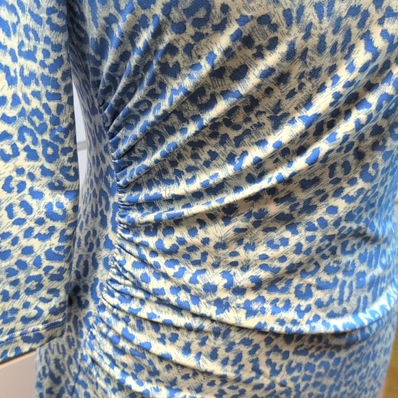 J. McLaughlin Catalina Cloth Sage Rouched Side Animal Print Dress Small EUC - Picture 2 of 7